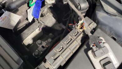 Copyright: Norbert Schaub GmbH / BU: Das Risiko für Marderschäden ist bei allen Autos gleich groß, unabhängig von ihrem Antriebssystem.
