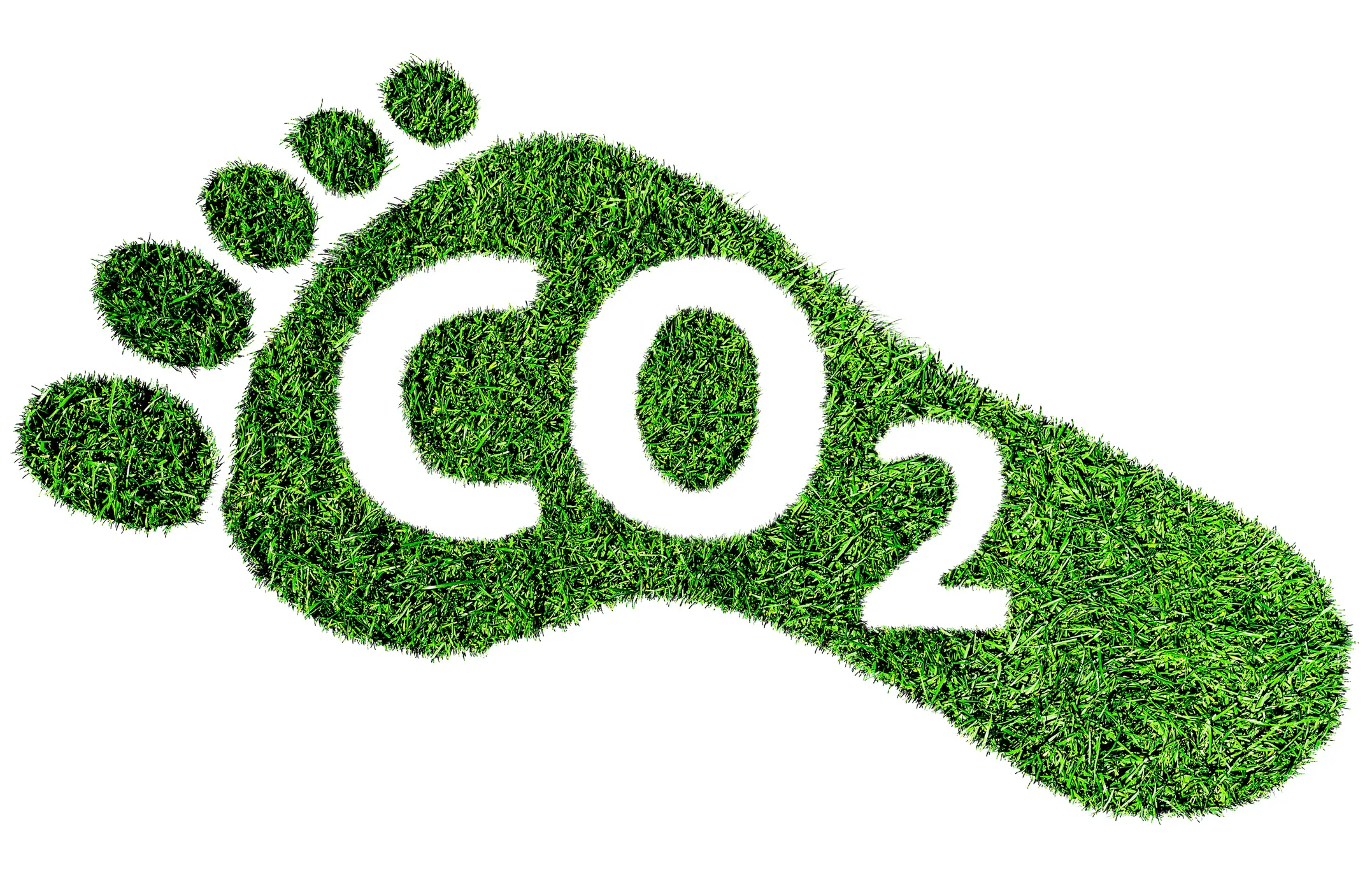 BASF Coatings: Tool zur Berechnung des CO₂-Fußabdrucks