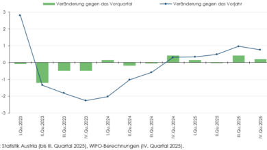 BIP Entwicklung Österreich Q4/2025
